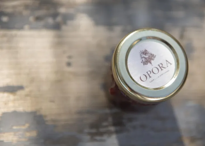 Εξοχικό σπίτι Opora Country Living *