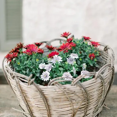 Opora Country Living Hétvégi ház