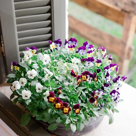 Opora Country Living * Nafplio