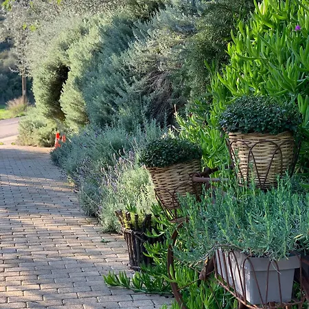 Opora Country Living Kır Evi