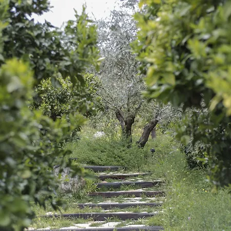 Casa di campagna Opora Country Living *