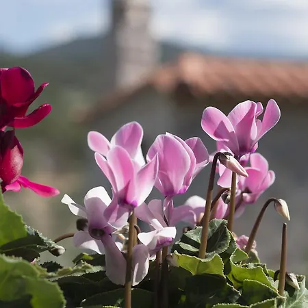 Country house Opora Country Living Nafplio