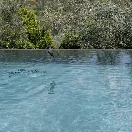 Kır Evi Opora Country Living