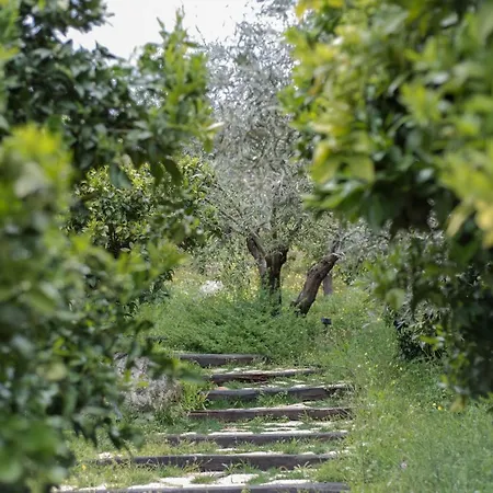 Opora Country Living Nafplio