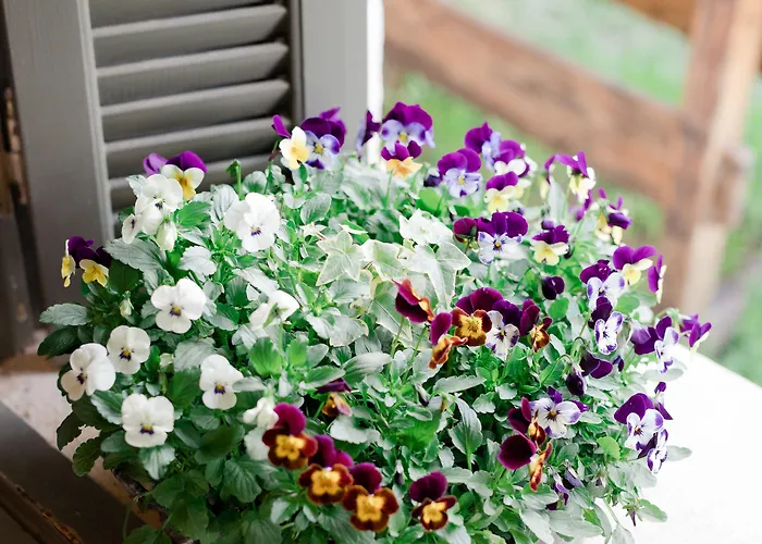 Opora Country Living * Nafplion