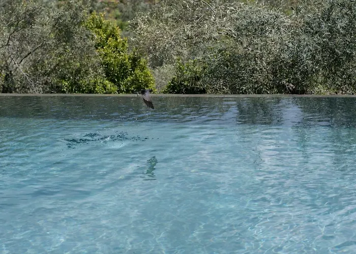 Casa de Campo Opora Country Living